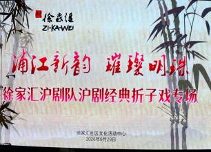 《 徐家汇沪剧队经典折子戏专场》观后感