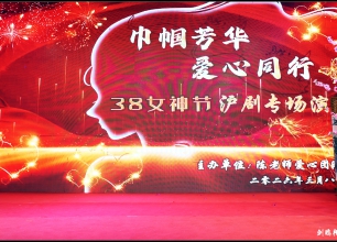 陈老师爱心团队三八女神节沪剧专场演出圆满落幕